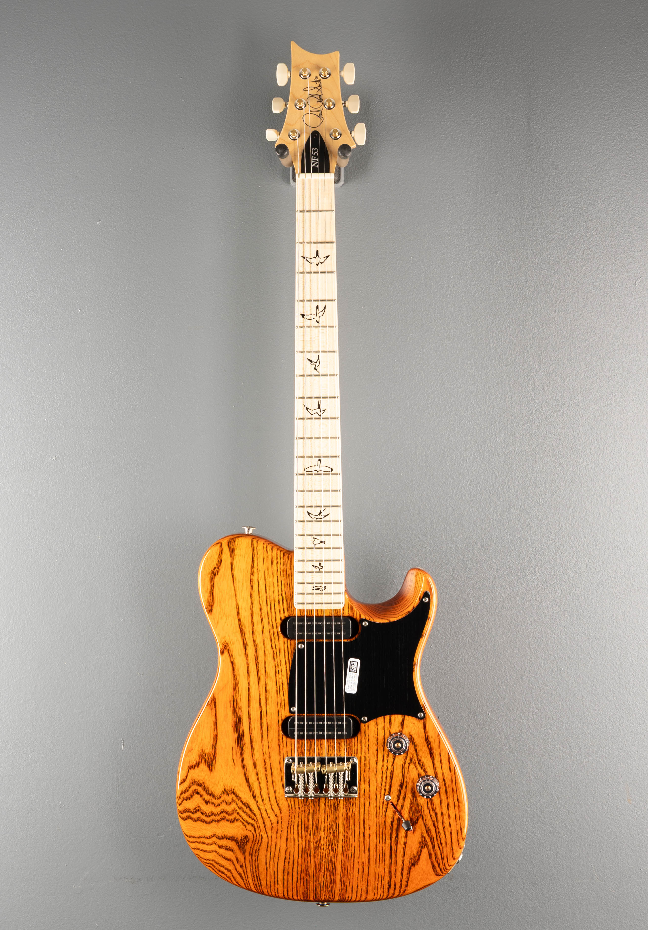 NF53 - Orange Tabby - Image 3