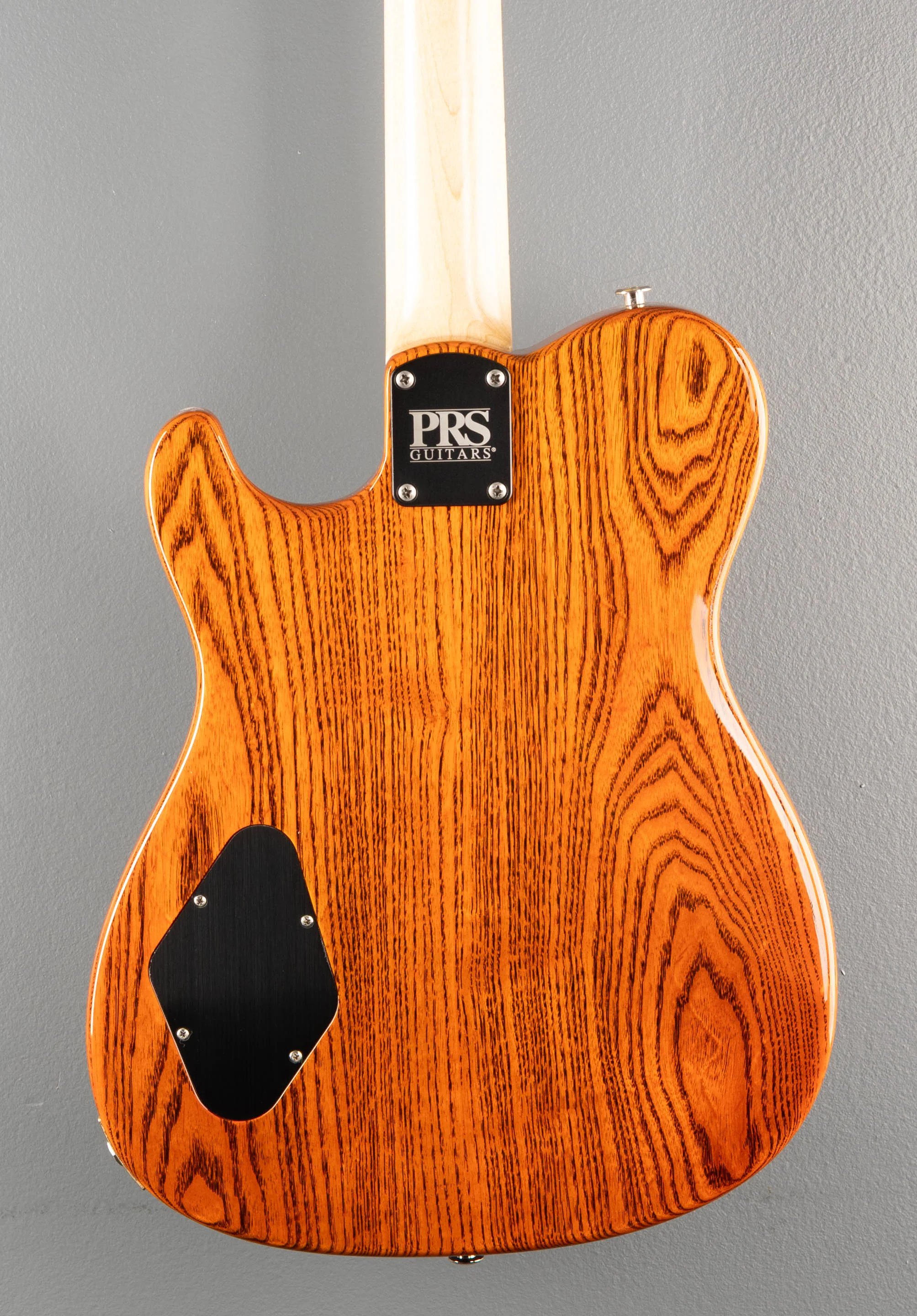 NF53 - Orange Tabby - Image 4