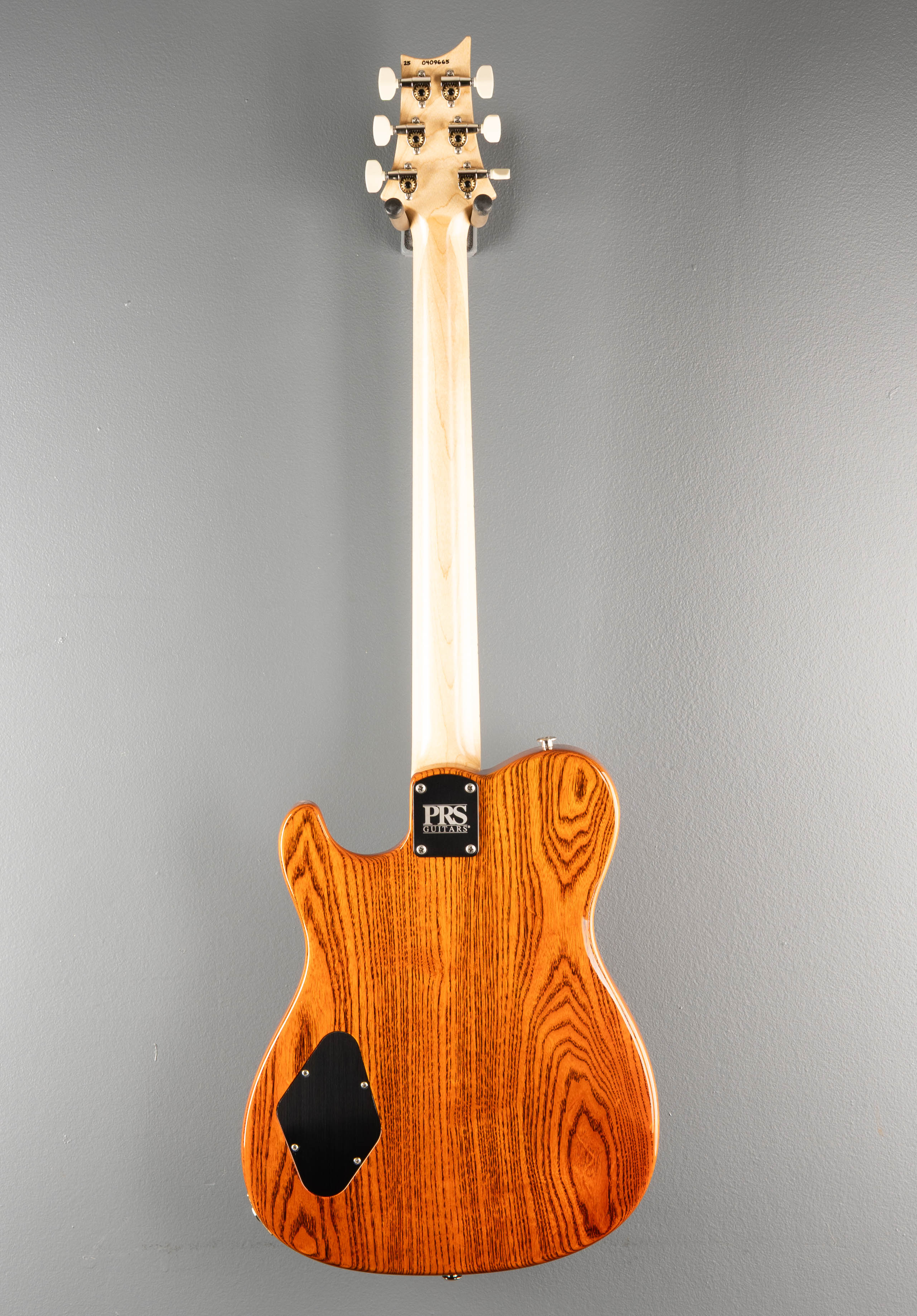 NF53 - Orange Tabby - Image 5