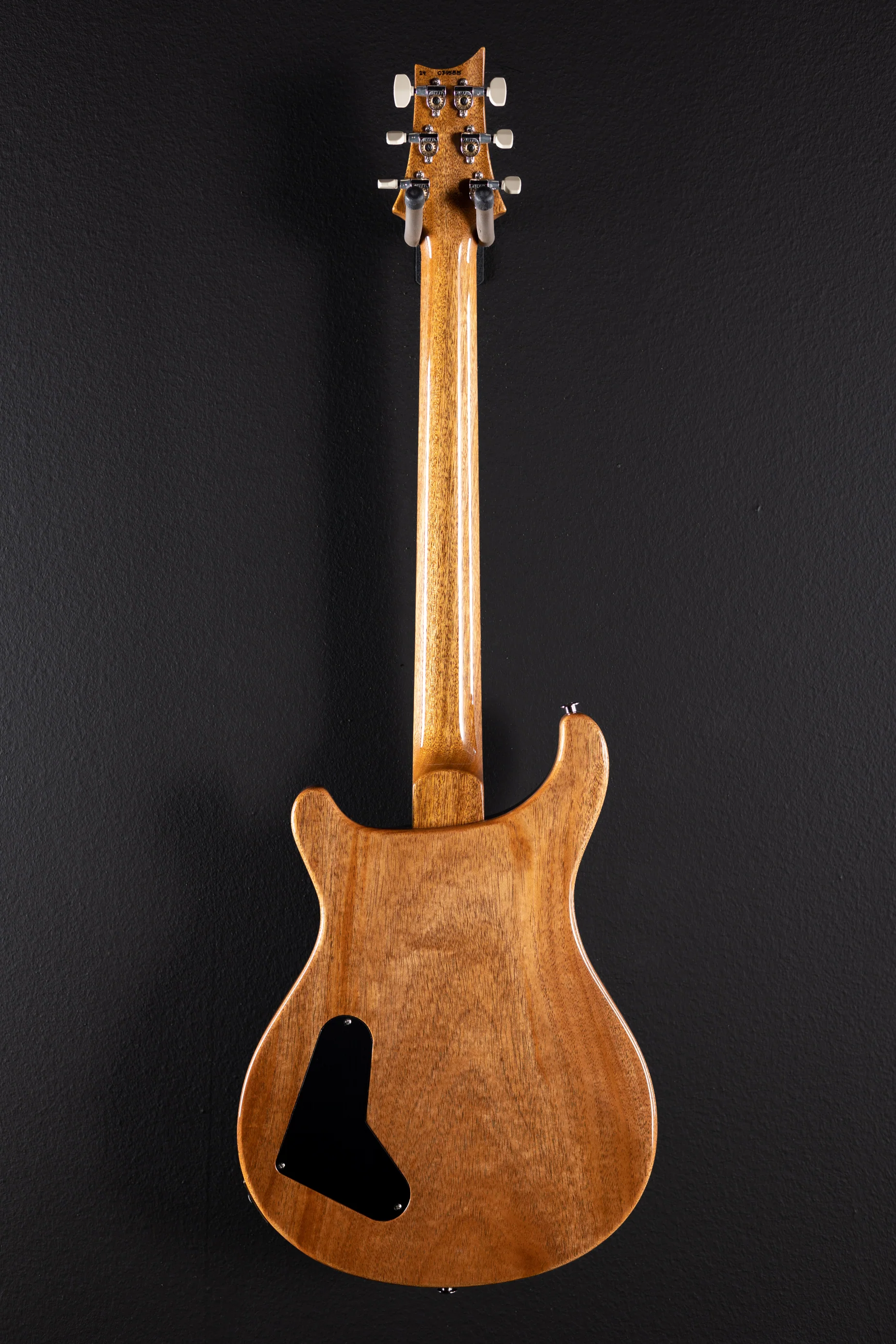 Paul's Guitar - Vampire Mist - Image 4