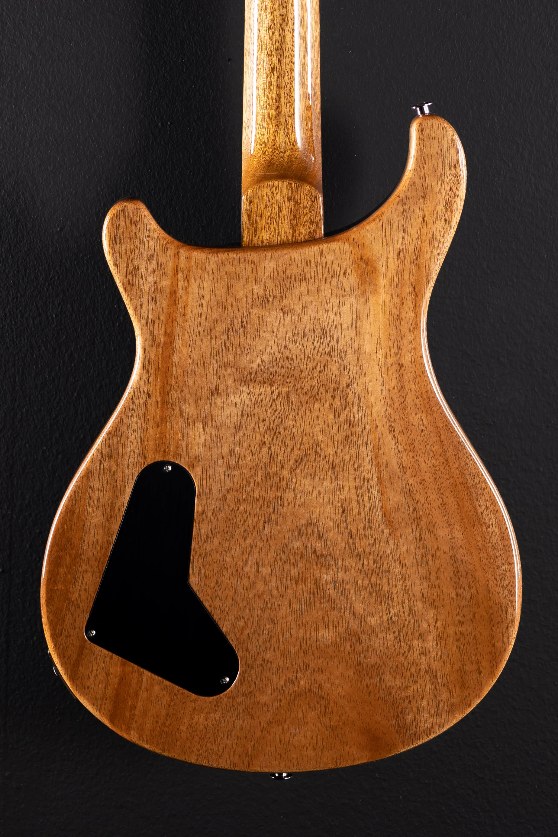 Paul's Guitar - Vampire Mist - Image 5