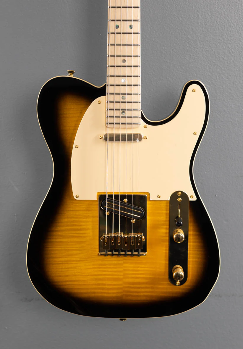 Richie Kotzen Telecaster - Image 2