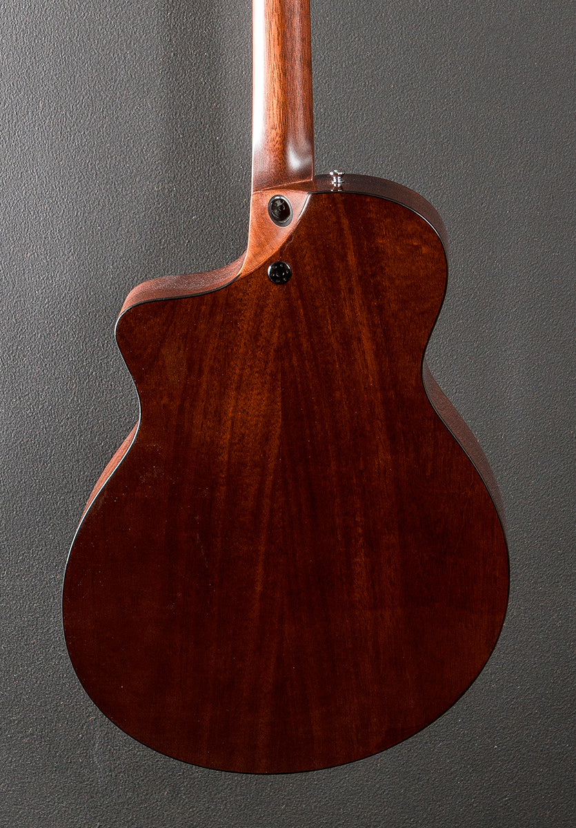 SC-18E w/Fishman Aura VT Blend - Image 4
