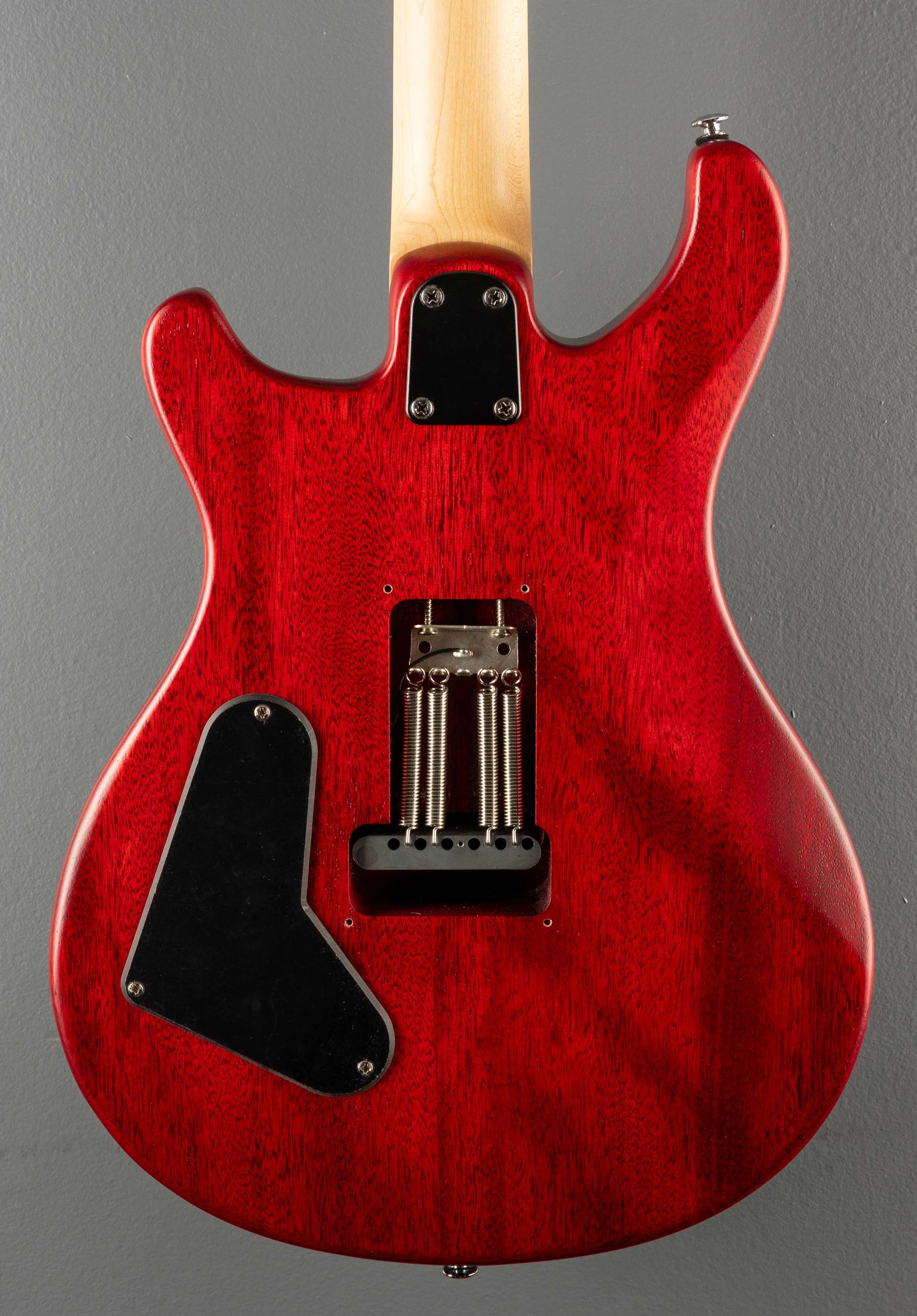 SE CE-24 Standard Satin '23 - Image 4