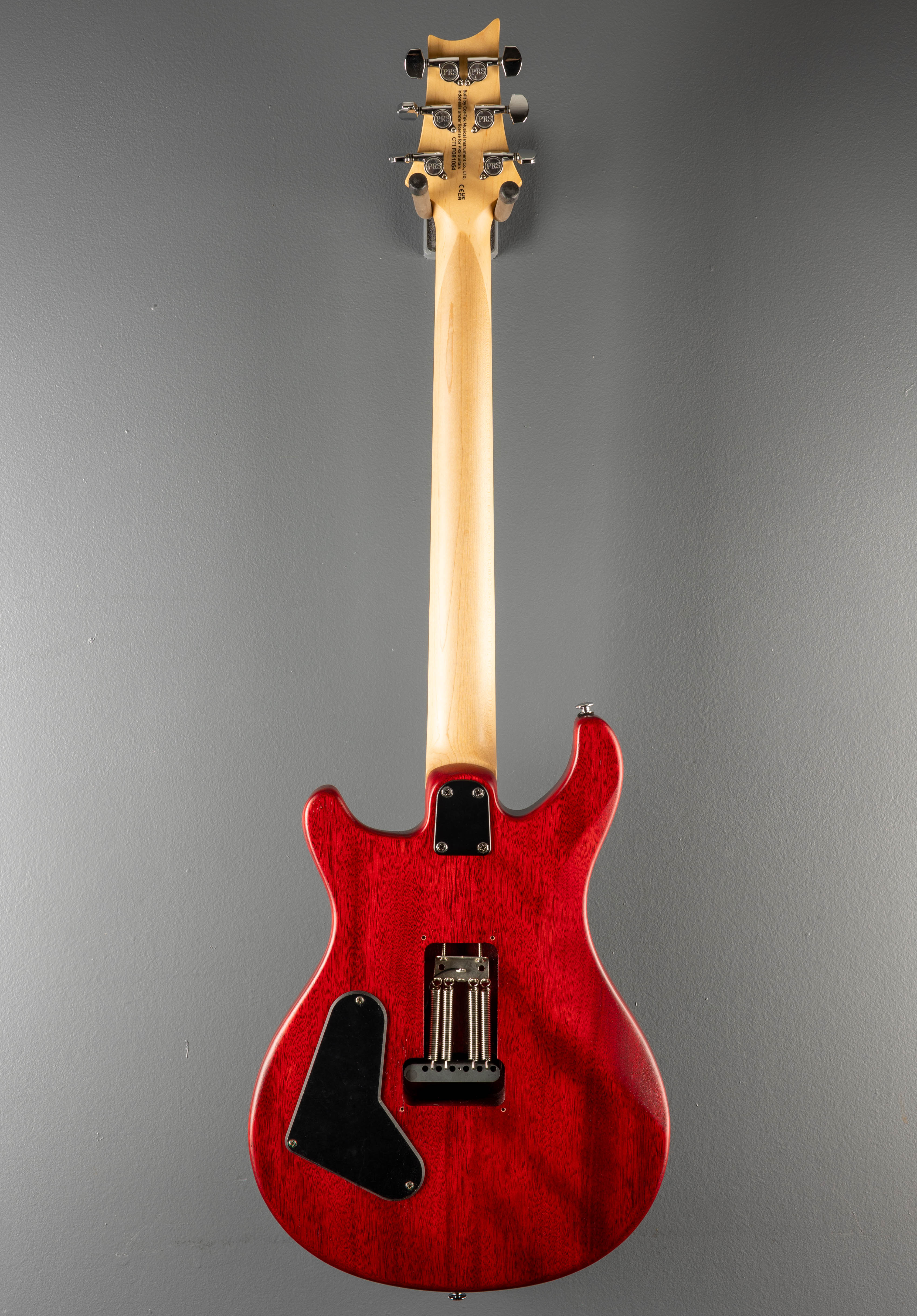 SE CE-24 Standard Satin '23 - Image 5