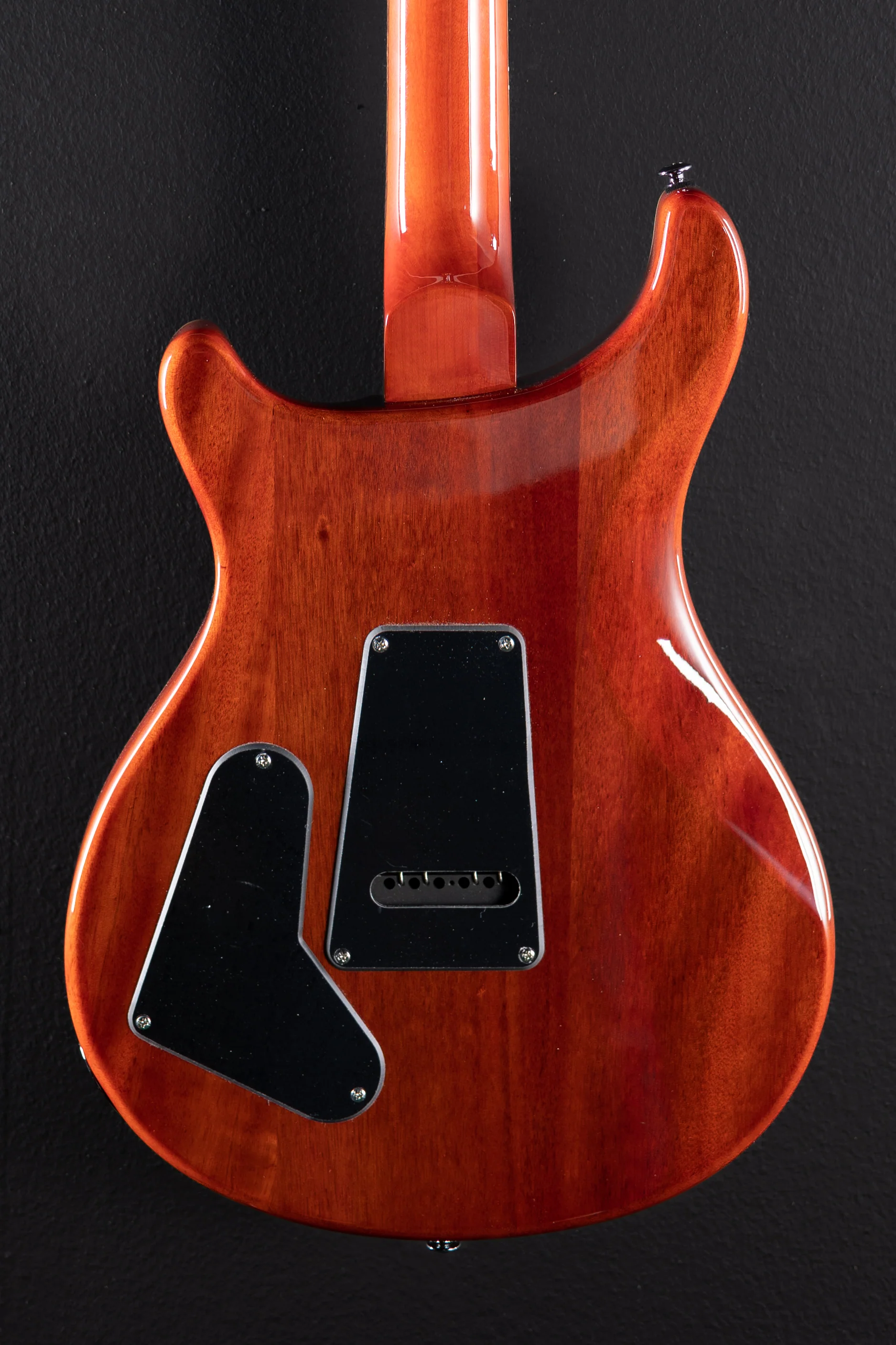 SE Custom 22 '21 - Image 5