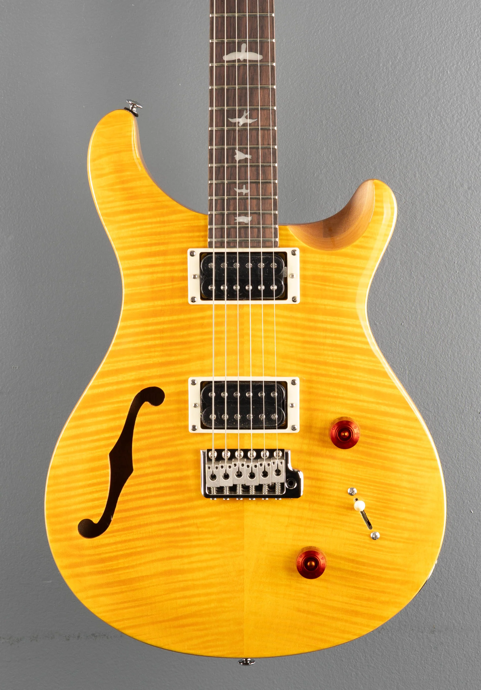 SE Custom 22 Semi-Hollow, '23 - Image 2