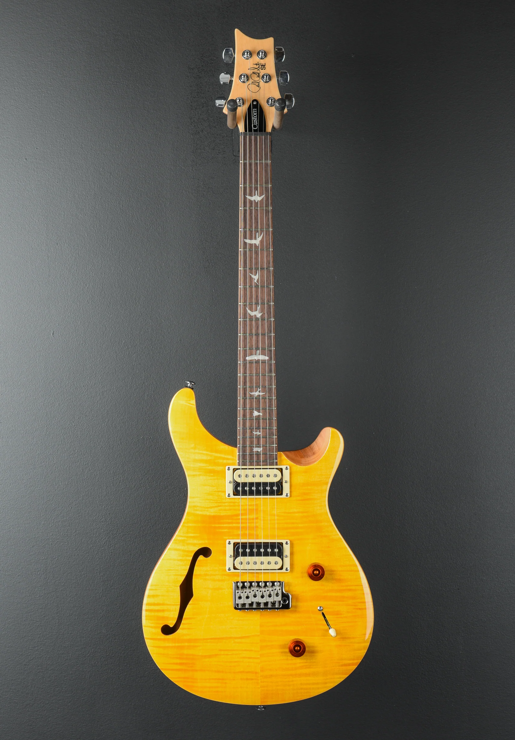 SE Custom 22 Semi-Hollow '22 - Image 3