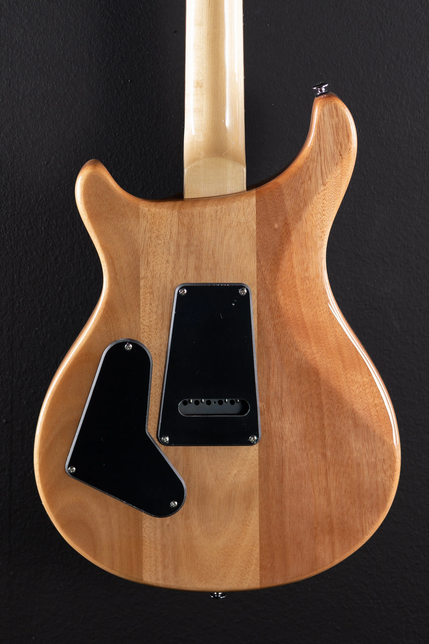 SE Custom 24 '22 - Image 5