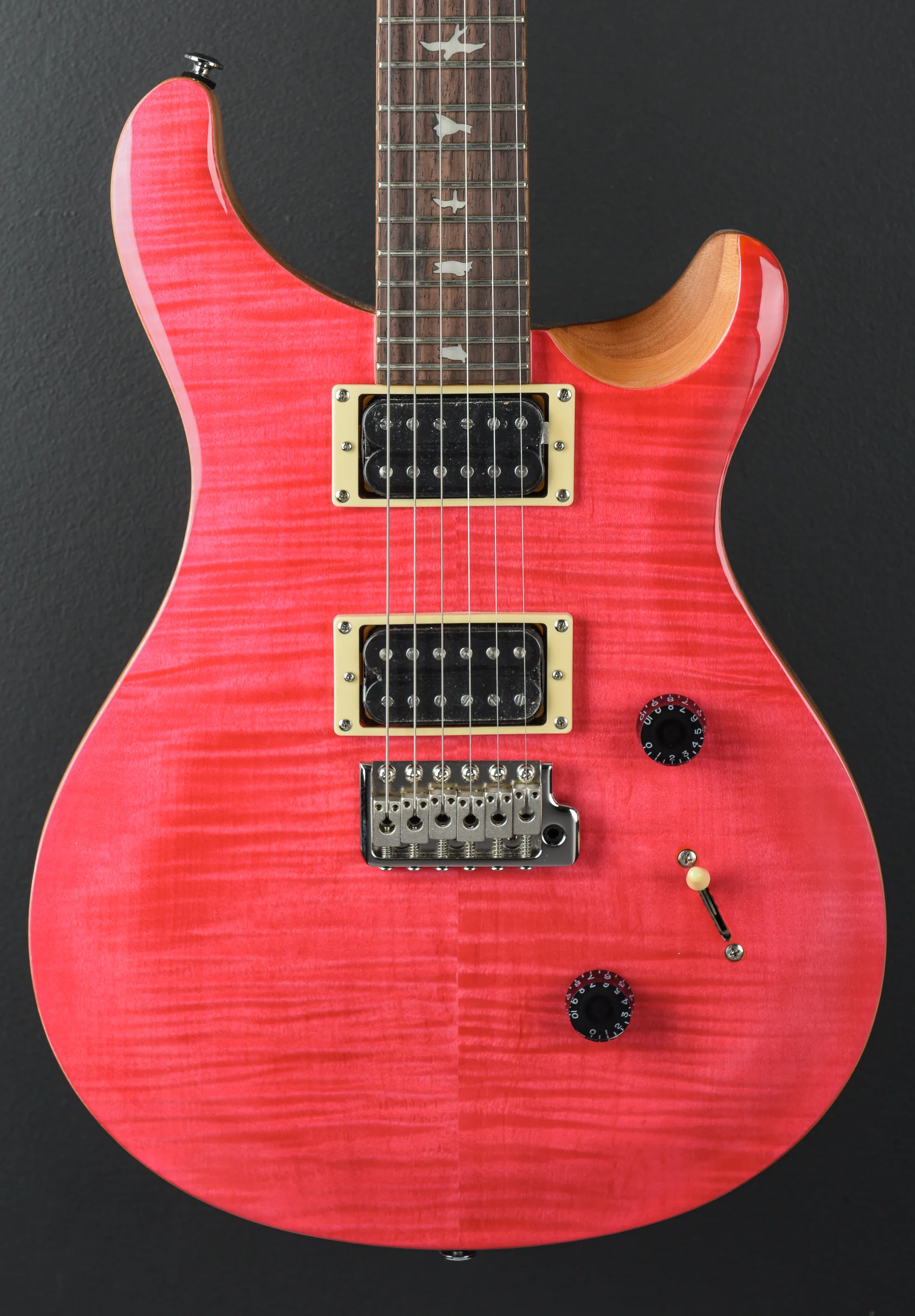 SE Custom 24 '22 - Image 2