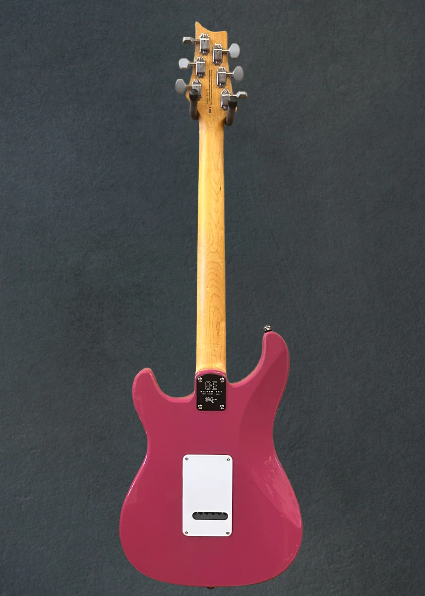 SE Silver Sky Rosewood '22 - Image 5