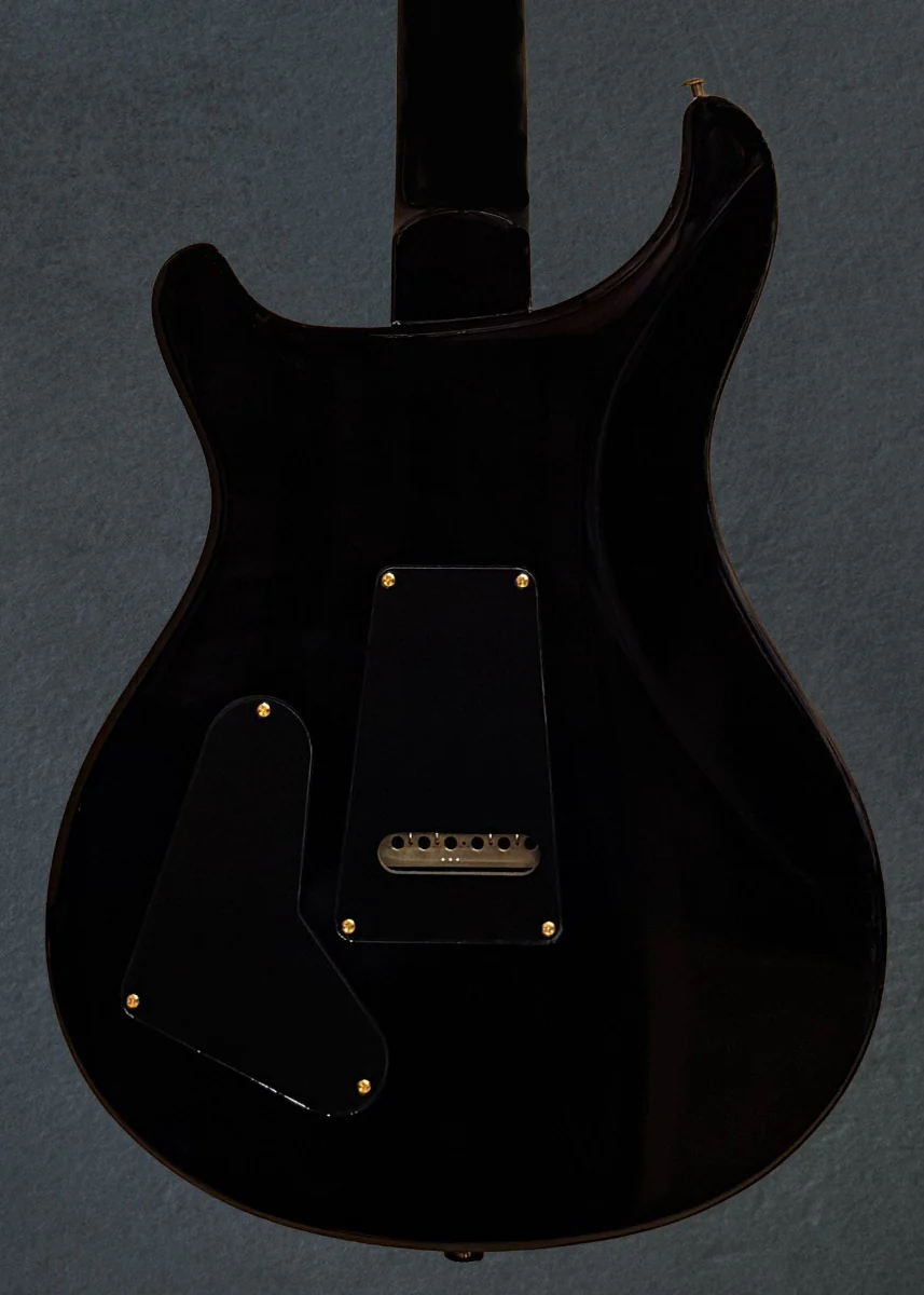 Special Semi-Hollow 10 Top - Charcoal Burst - Image 4