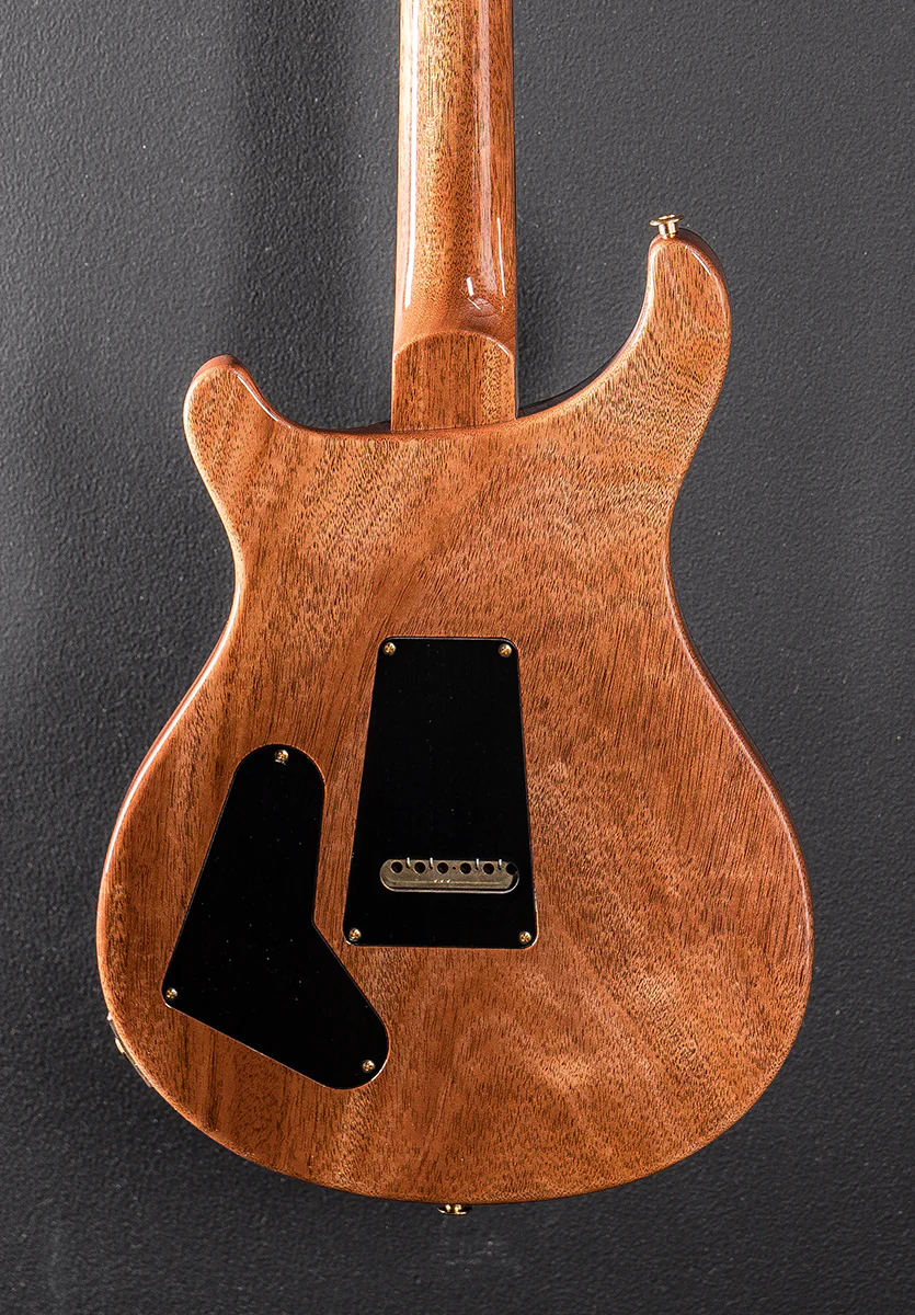 Special Semi-Hollow 10 Top - Tiger Eye Top - Image 4