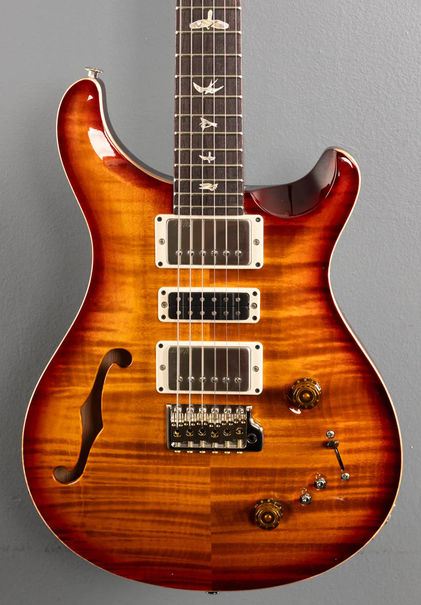 Special Semi-Hollow - Dark Cherry Sunburst - Image 2