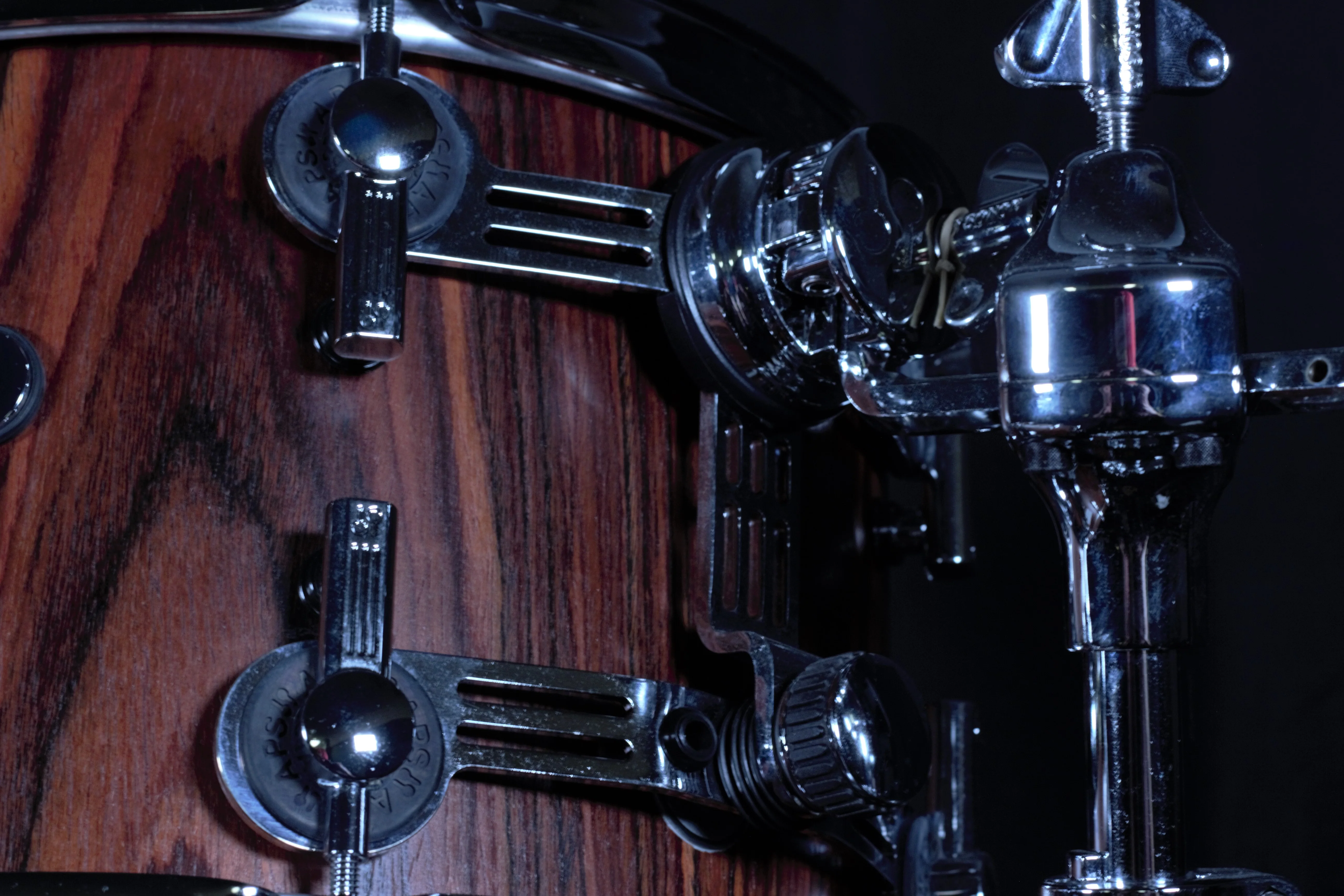 SQ-2 Maple w/Rosewood veneer Finish - Image 9