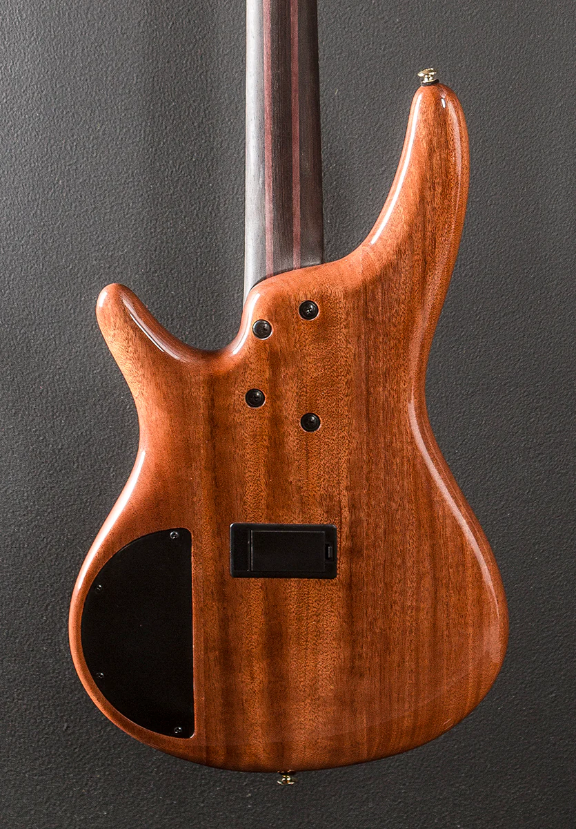 SR1600D Bass - Autumn Sunset Sky - Image 4