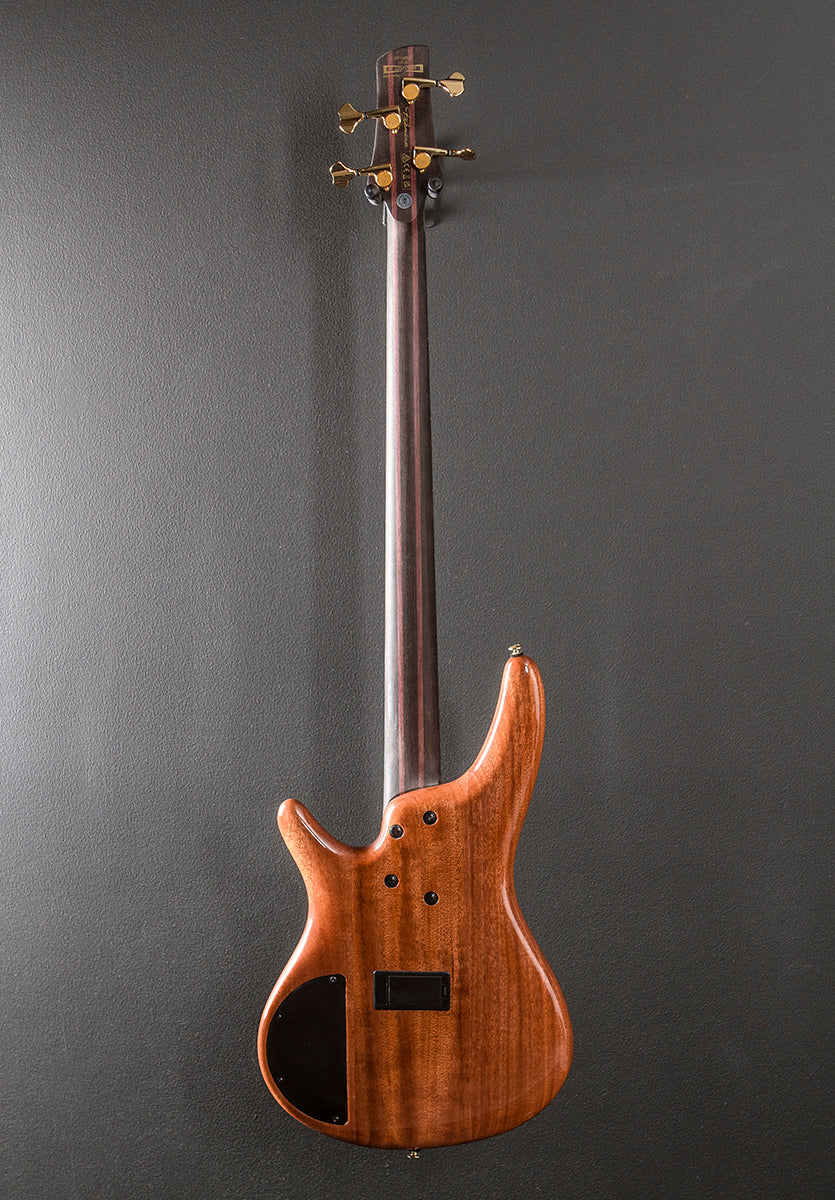 SR1600D Bass - Autumn Sunset Sky - Image 5