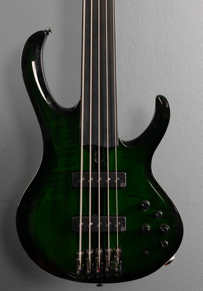 Steve Di Giorgio SDGB1 Fretless Bass - Dark Moss Burst - Image 2