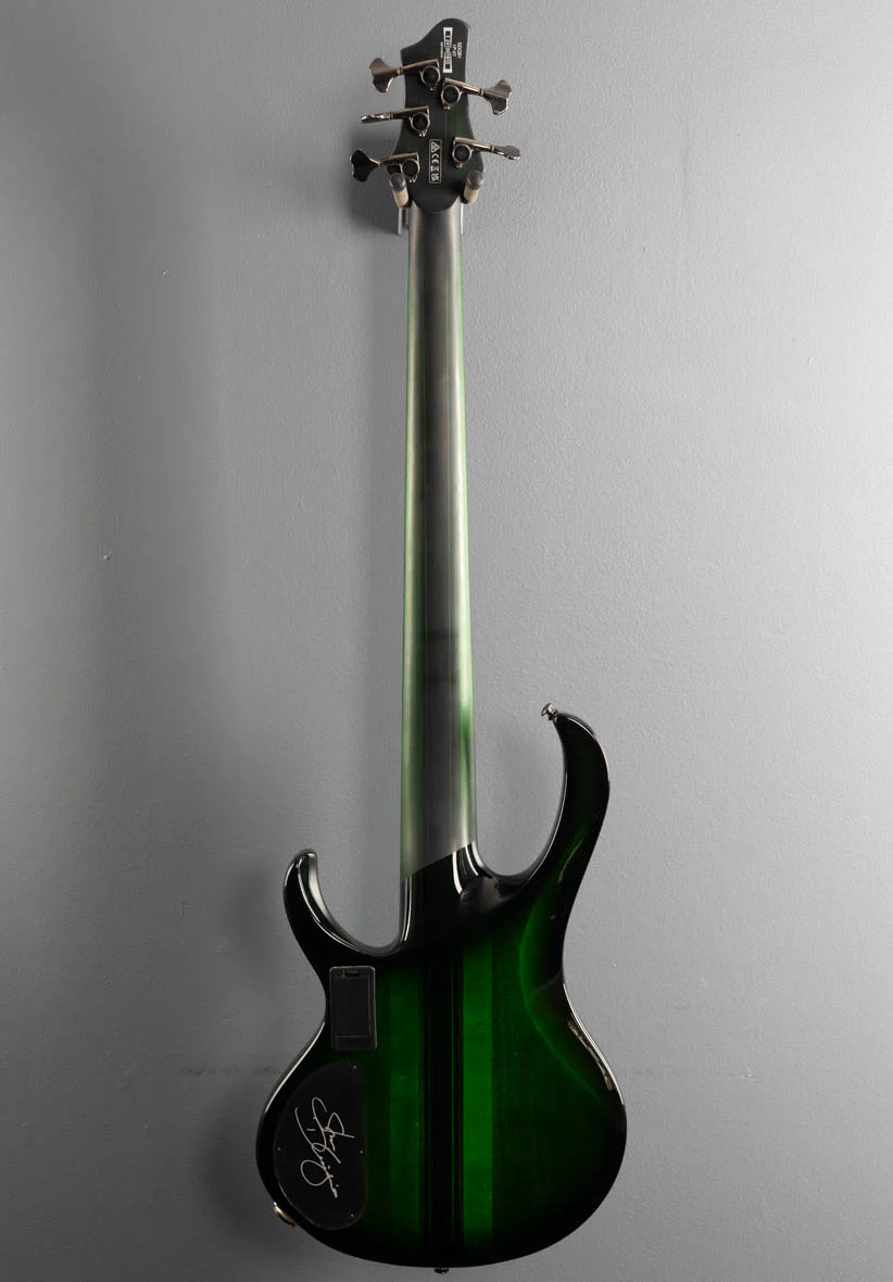Steve Di Giorgio SDGB1 Fretless Bass - Dark Moss Burst - Image 5