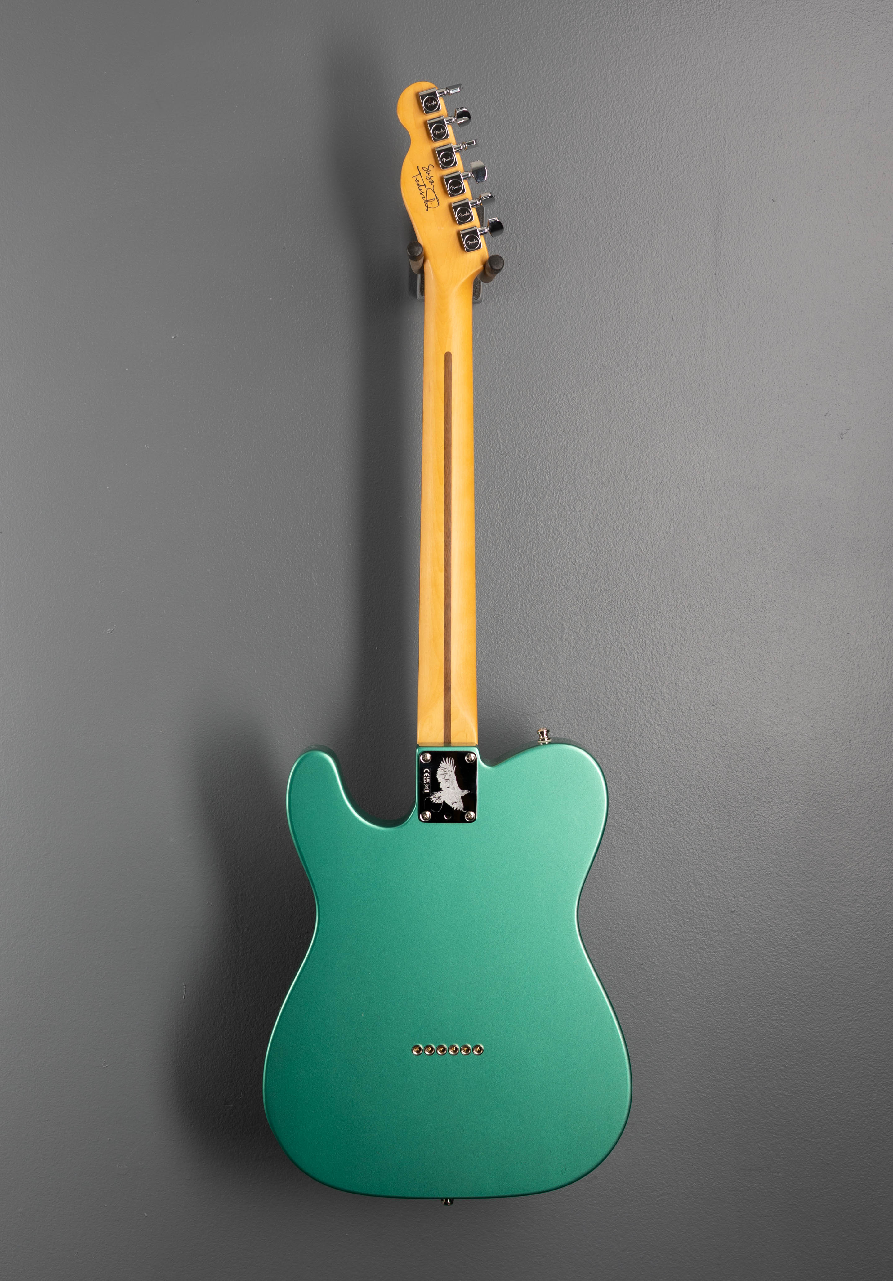 Susan Tedeschi Telecaster - Aged Caribbean Mist - Image 5