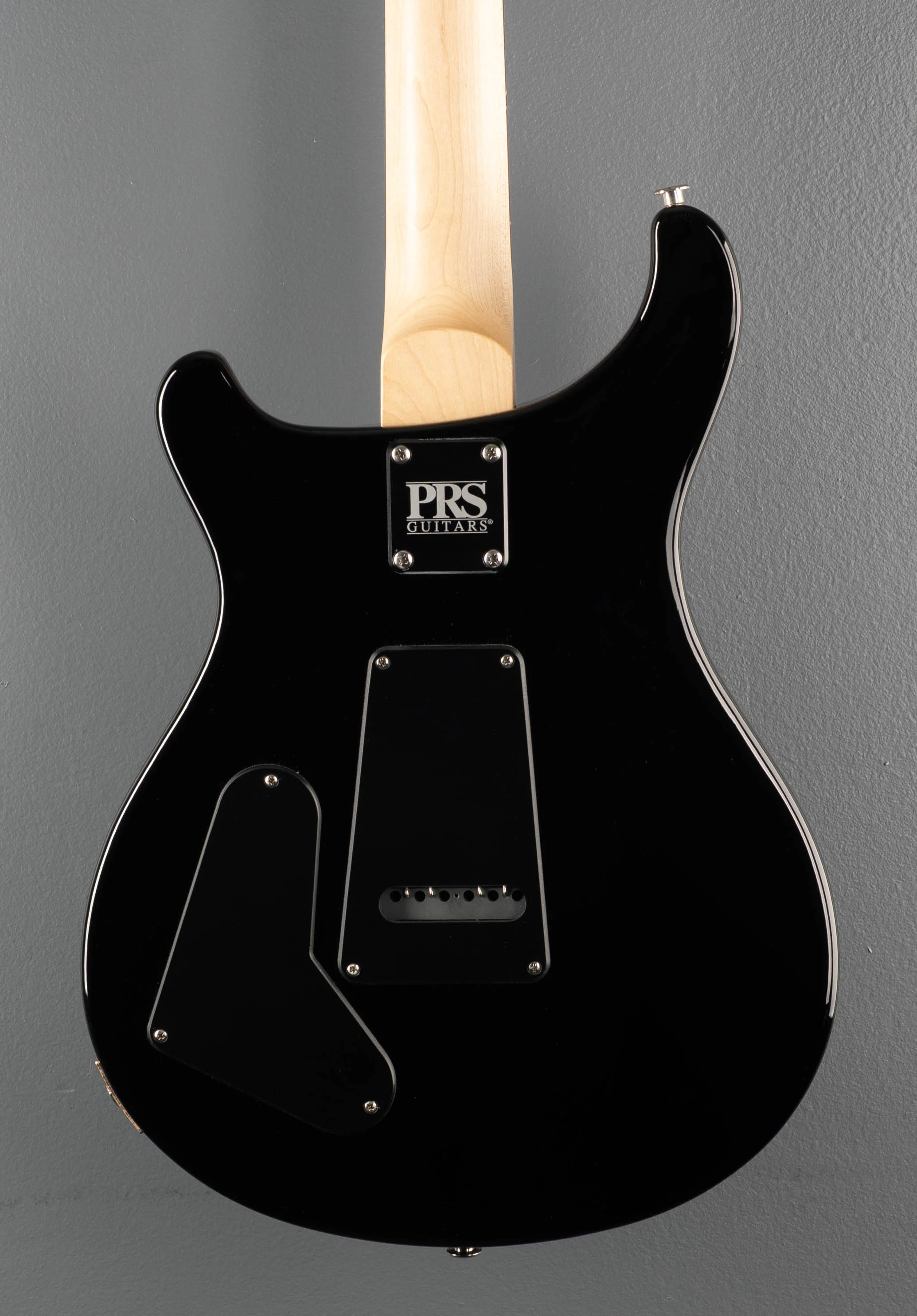 Swamp Ash Special - Larkspur - Image 4