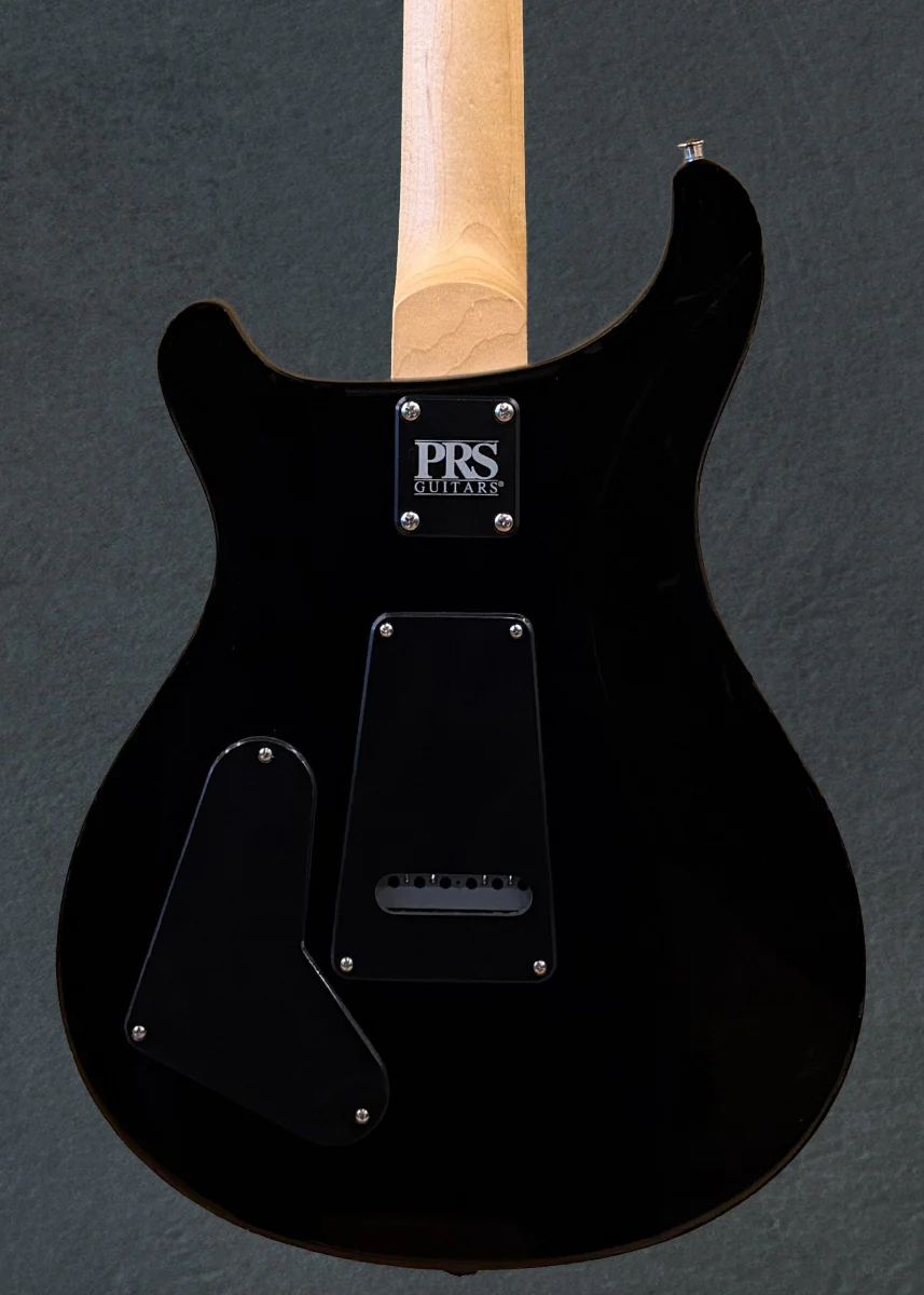 Swamp Ash Special - Larkspur - Image 4