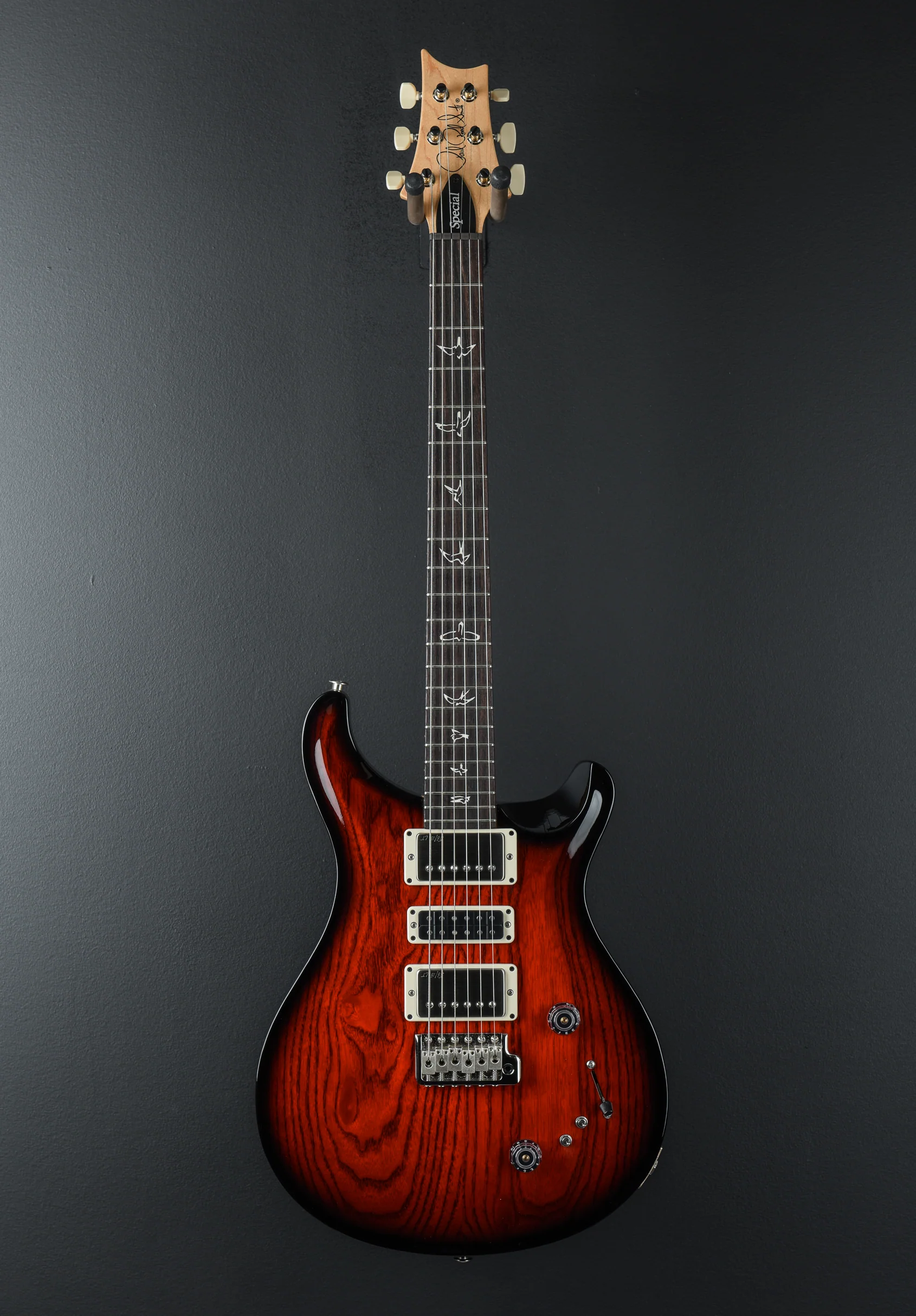 Swamp Ash Special - Larkspur - Image 3