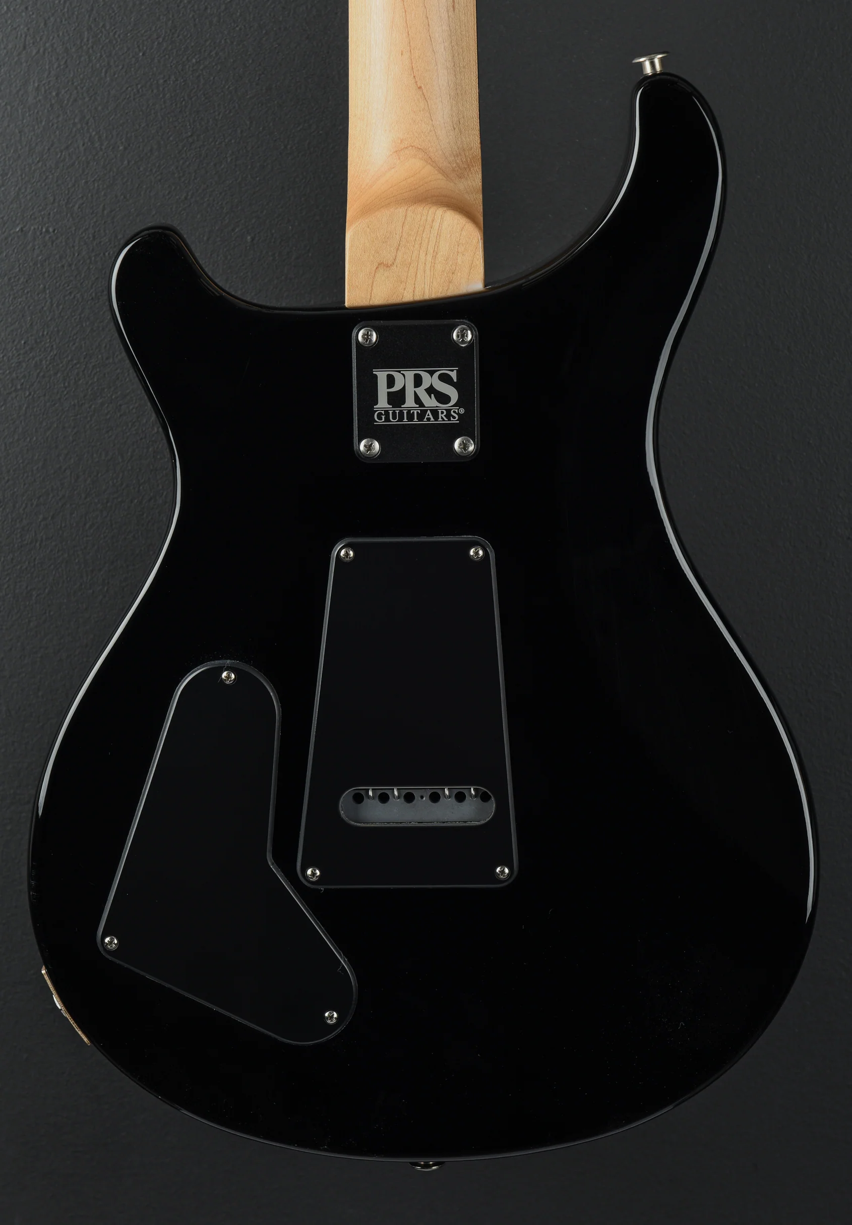 Swamp Ash Special - Larkspur - Image 4