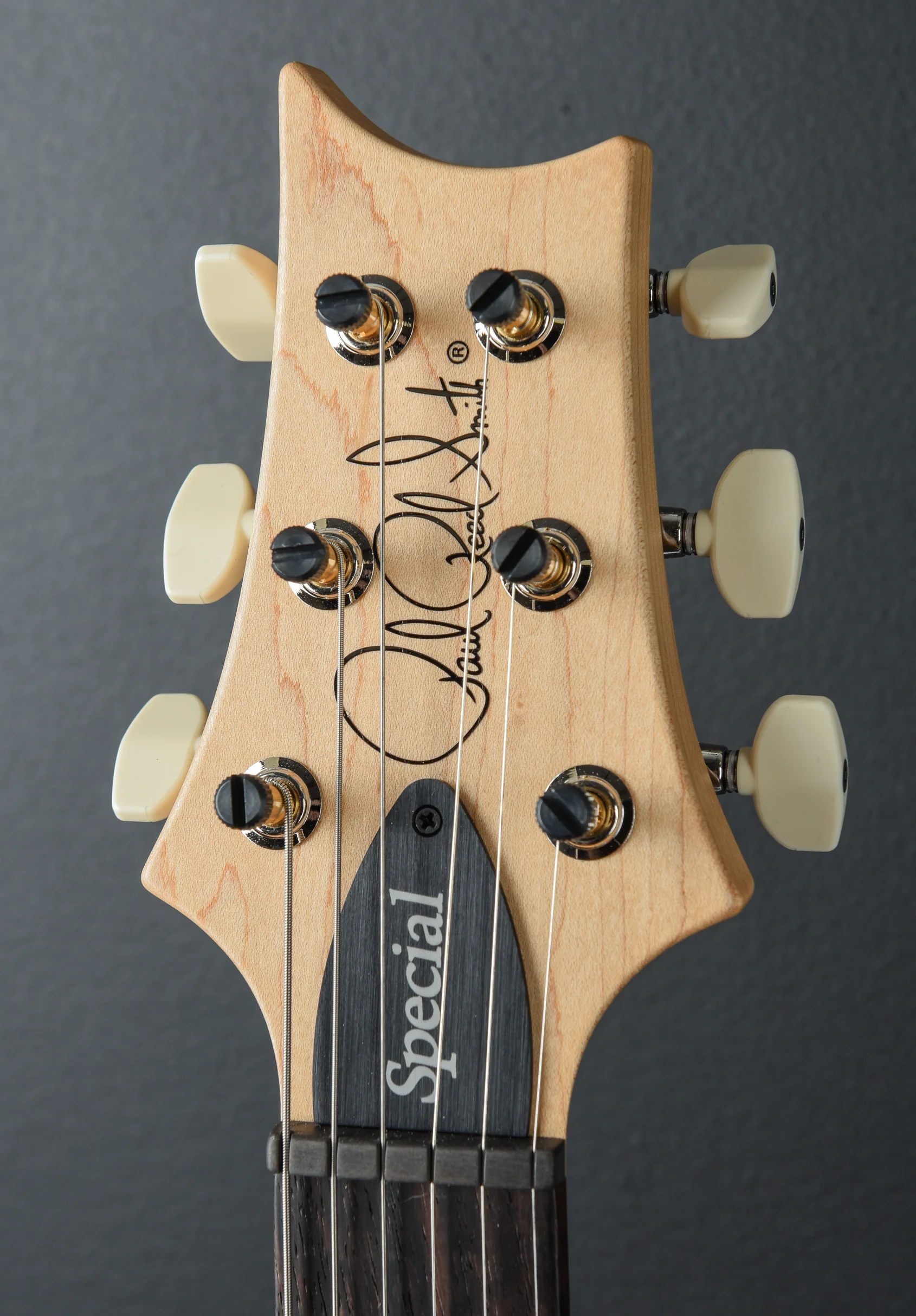 Swamp Ash Special - Larkspur - Image 6