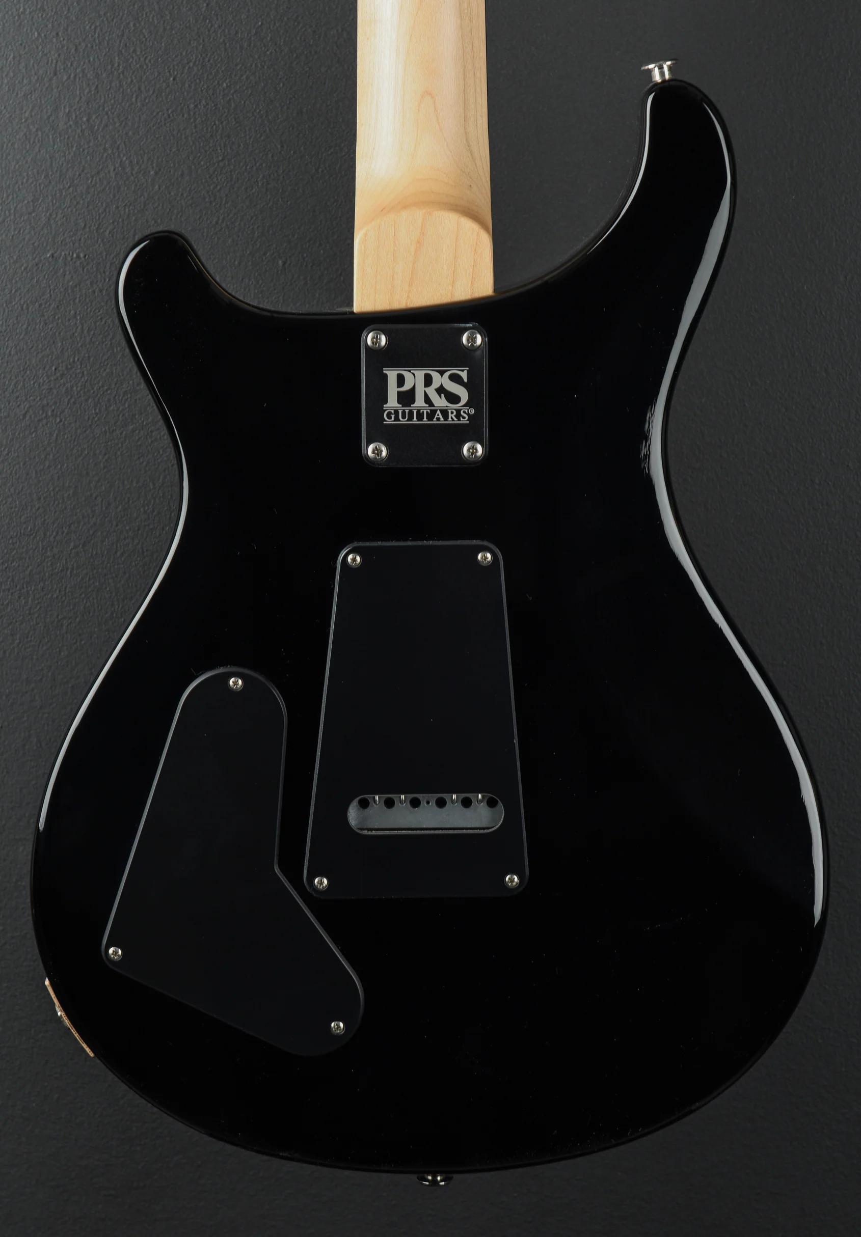 Swamp Ash Special - White Doghair Smokeburst - Image 4