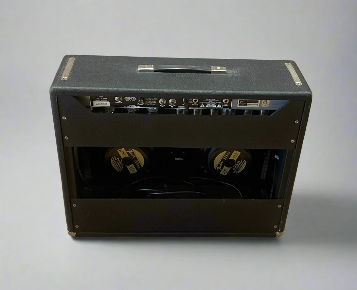 USED '65 Reissue Twin Reverb, '00 - Image 2
