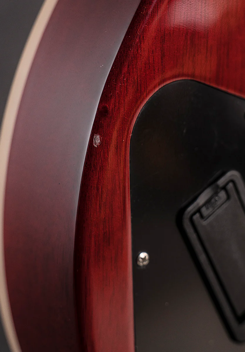 Warren Haynes Les Paul Standard '24 - Image 6